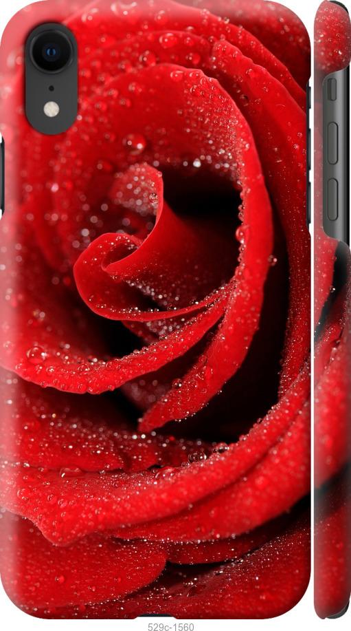 Чехол на iPhone XR Красная роза