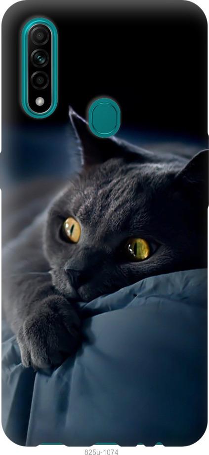 Чехол на Oppo A31 Дымчатый кот