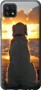 Чехол на Samsung Galaxy A22 5G A226B Закат и собака