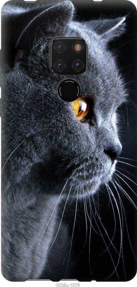 Чехол на Huawei Mate 20 Красивый кот
