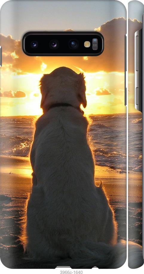 Чехол на Samsung Galaxy S10 Закат и собака