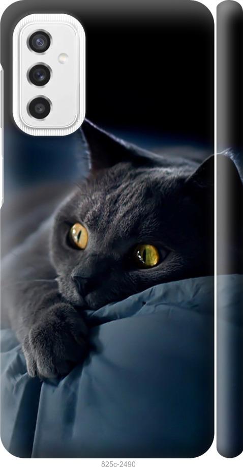 Чехол на Samsung Galaxy M52 M526B Дымчатый кот
