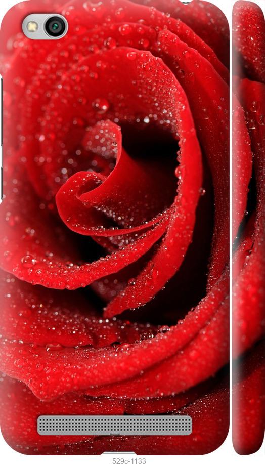 Чехол на Xiaomi Redmi 5A Красная роза