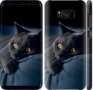 Чехол на Samsung Galaxy S8 Plus Дымчатый кот