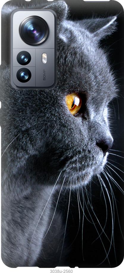 Чехол на Xiaomi 12 Pro Красивый кот