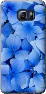 Чехол на Samsung Galaxy S6 Edge Plus G928 Синие цветы