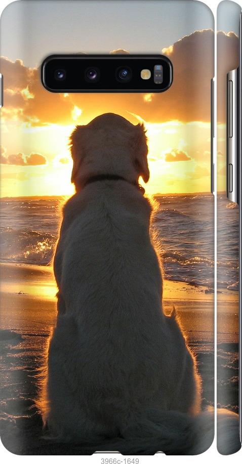 Чехол на Samsung Galaxy S10 Plus Закат и собака