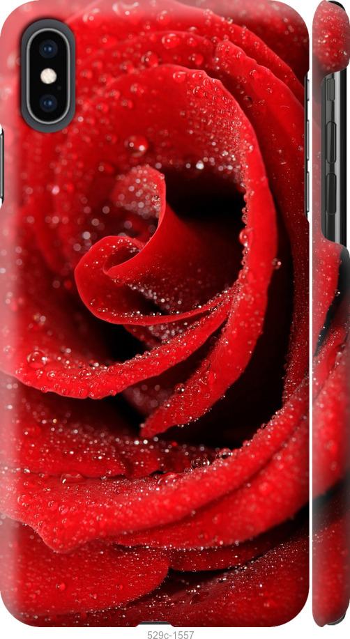 Чехол на iPhone XS Max Красная роза
