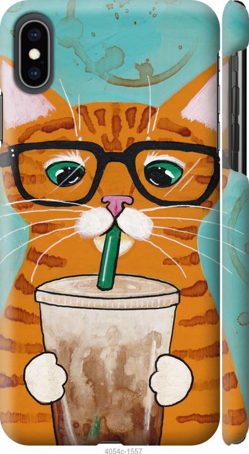 Чехол на iPhone XS Max Зеленоглазый кот в очках