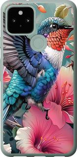 Чехол на Google Pixel 5 Сказочная колибри