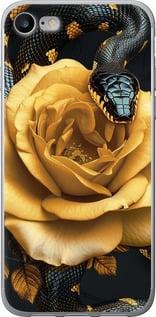 Чехол на iPhone 7 Black snake and golden rose