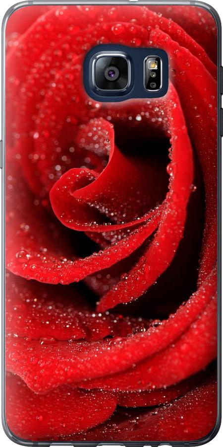Чехол на Samsung Galaxy S6 Edge Plus G928 Красная роза