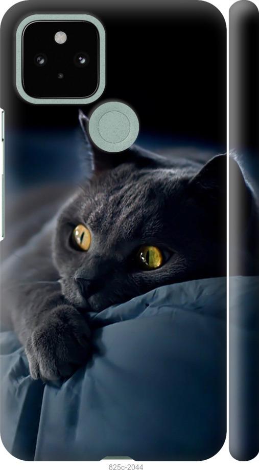 Чехол на Google Pixel 5 Дымчатый кот