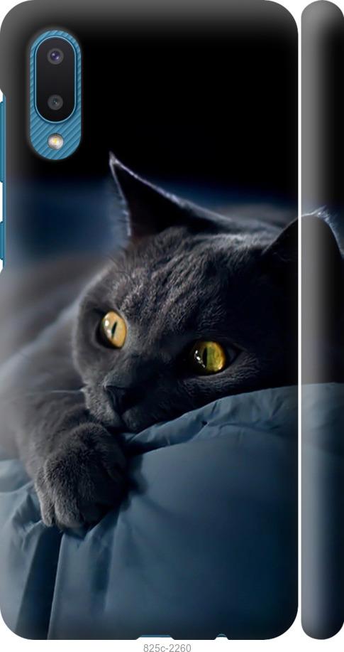 Чехол на Samsung Galaxy A02 A022G Дымчатый кот