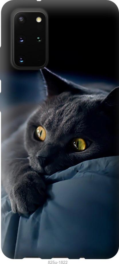 Чехол на Samsung Galaxy Note 20 Дымчатый кот