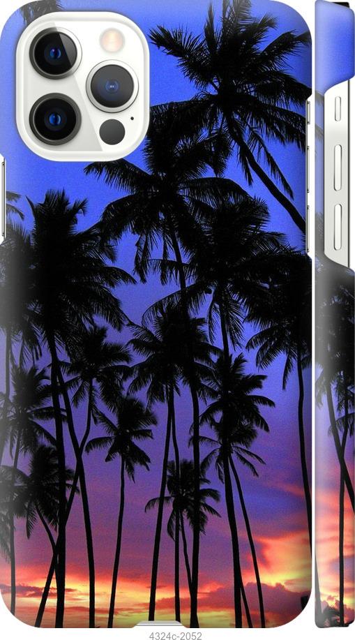 Чехол на iPhone 12 Pro Пальмы