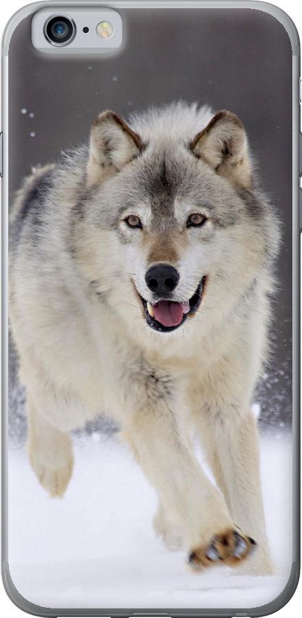 Чехол на iPhone 6s Бегущий волк