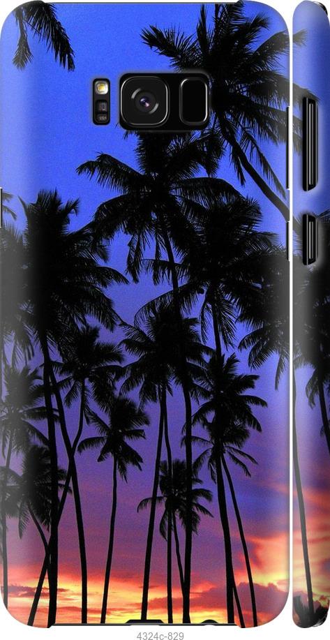 Чехол на Samsung Galaxy S8 Пальмы