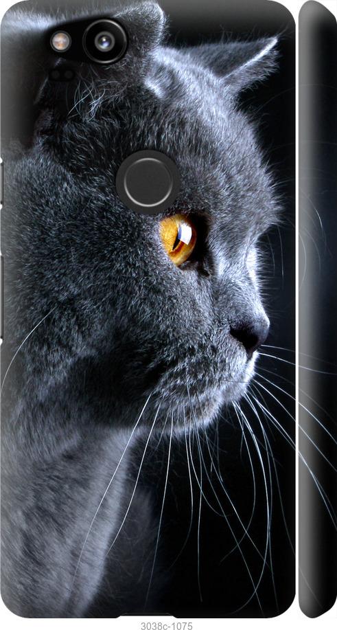 Чехол на Google Pixel 2 Красивый кот