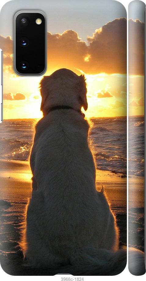 Чехол на Samsung Galaxy S20 Закат и собака