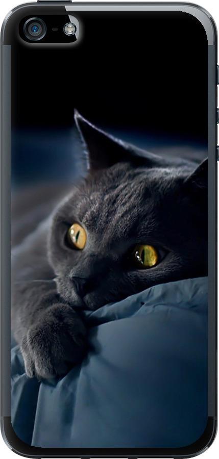 Чехол на iPhone SE Дымчатый кот