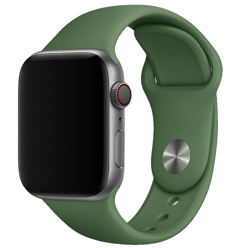 Силиконовый ремешок для Apple watch 38mm/40mm/41mm (Зеленый / Clover)