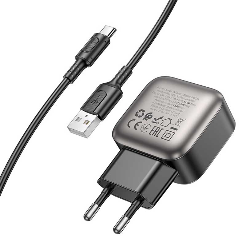 МЗП Borofone BAS51A Absolute (2USB-A) + Type-C (Black)